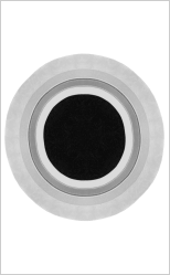 WH-Key Fingerprint Ring